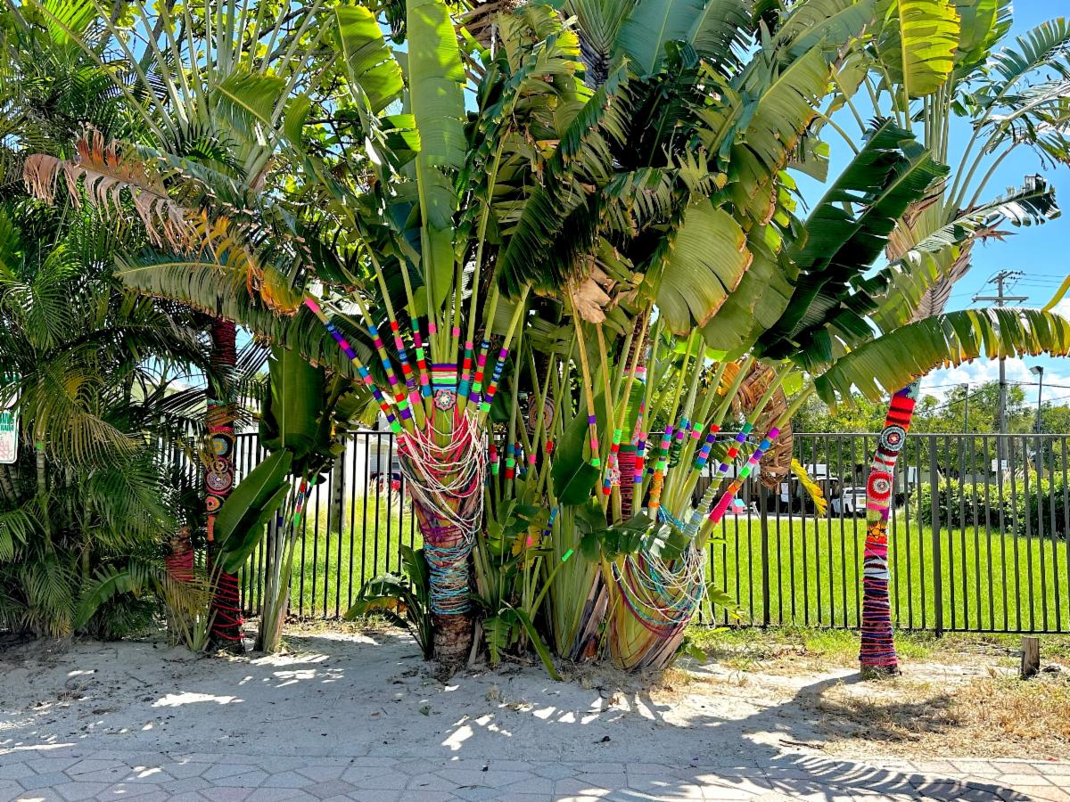 Image of a yarn decorated palm tree